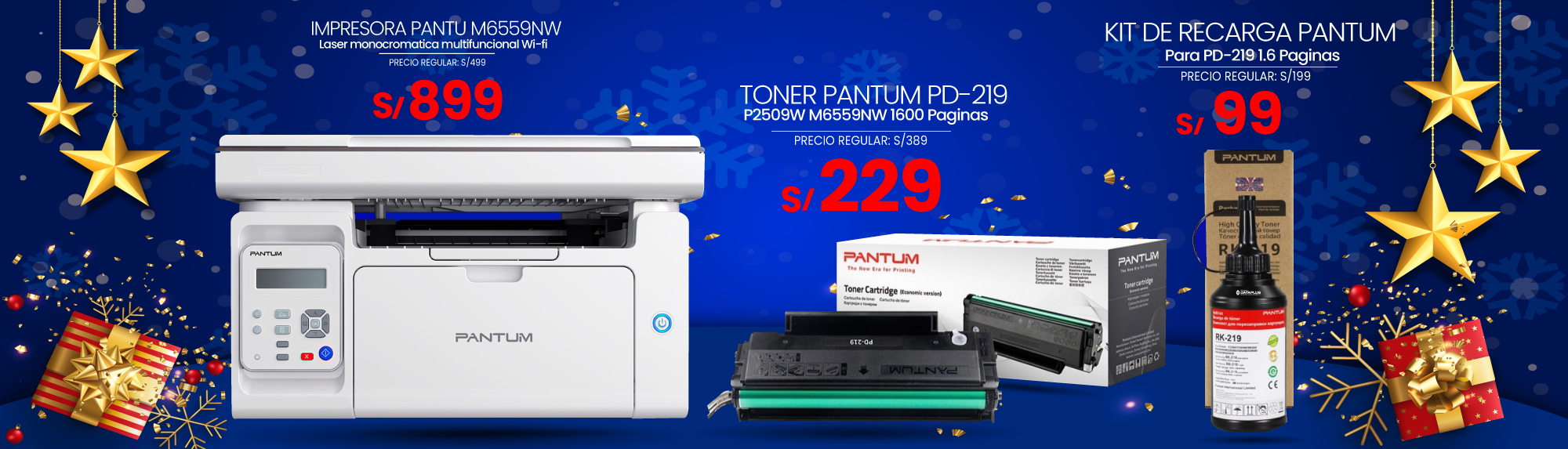 Informatica Dataplus 1 Pantum D