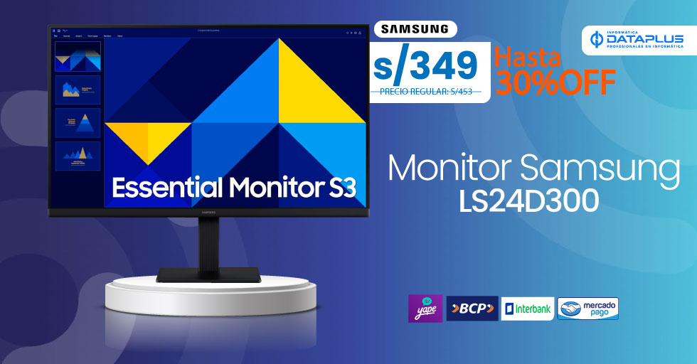 Ls24D300