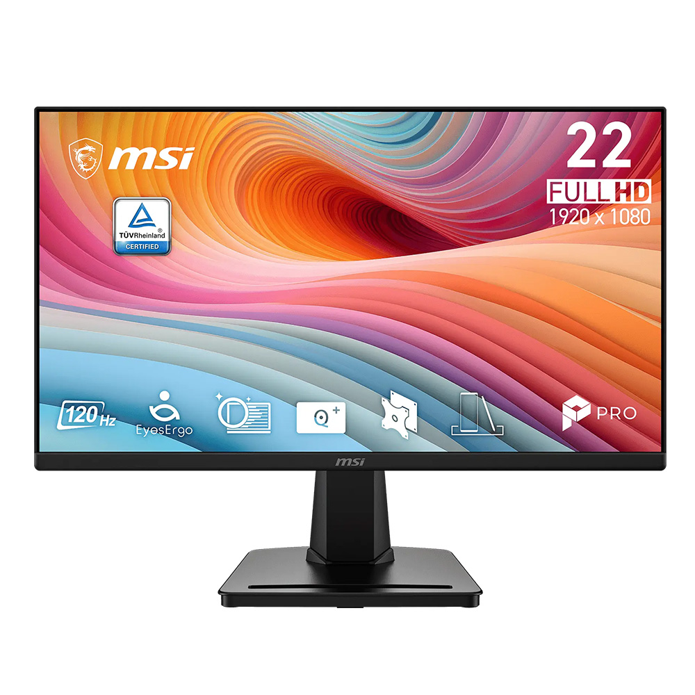 MSI MP255